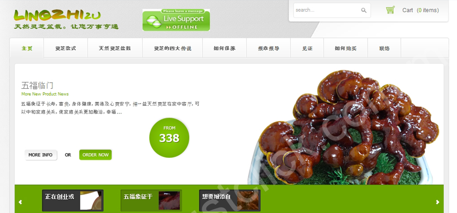 LingZhi2u website portfolio preview